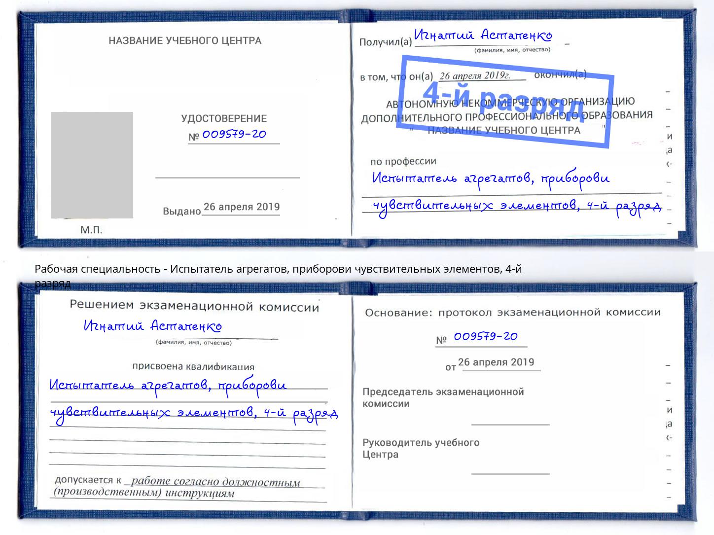 корочка 4-й разряд Испытатель агрегатов, приборови чувствительных элементов Сухой Лог