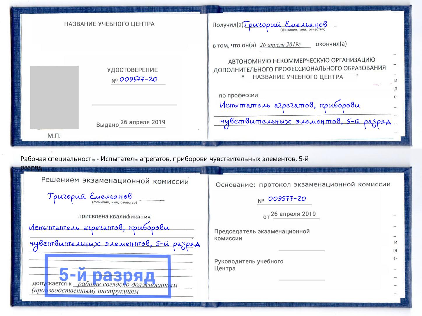 корочка 5-й разряд Испытатель агрегатов, приборови чувствительных элементов Сухой Лог