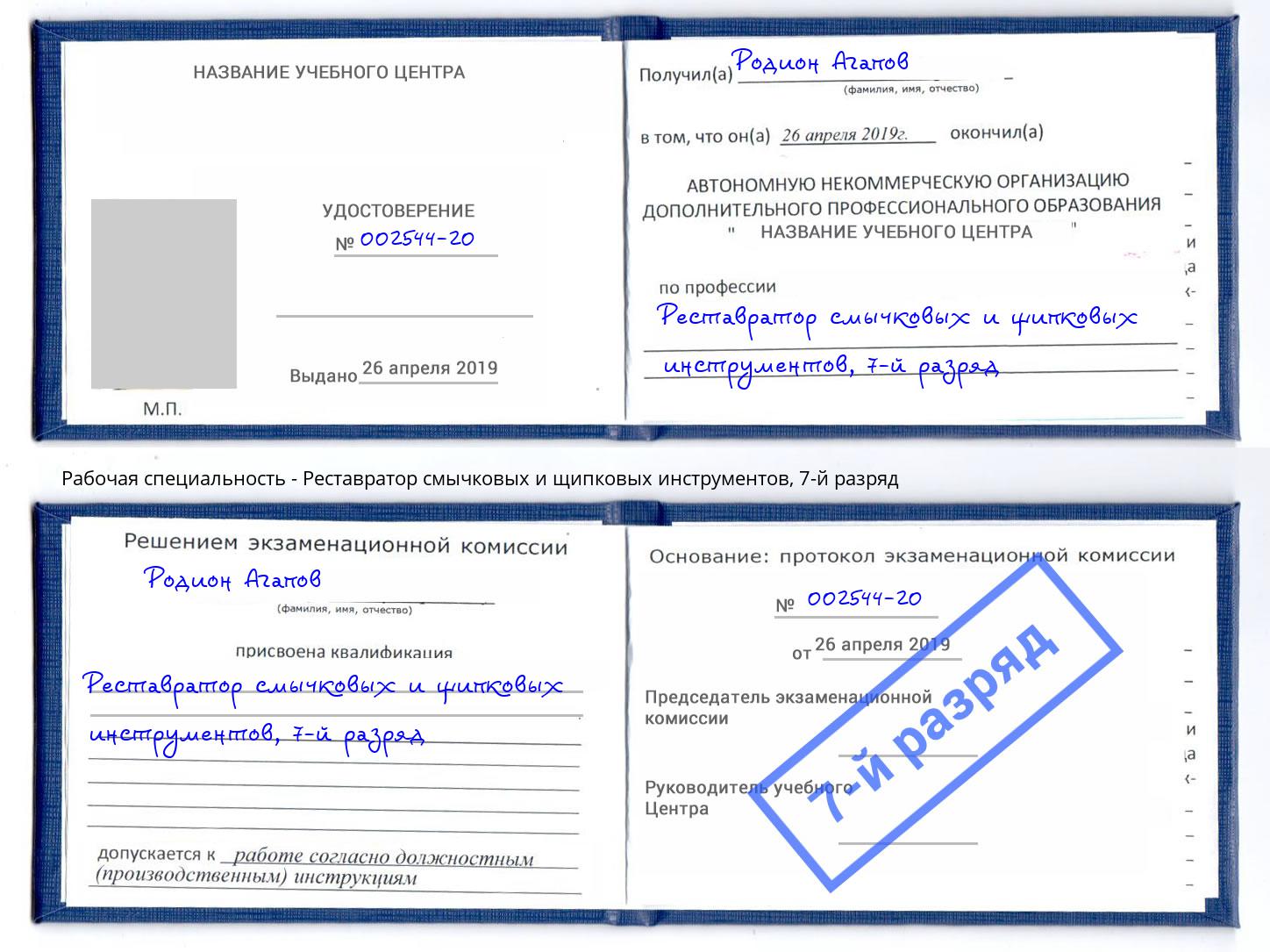 корочка 7-й разряд Реставратор смычковых и щипковых инструментов Сухой Лог