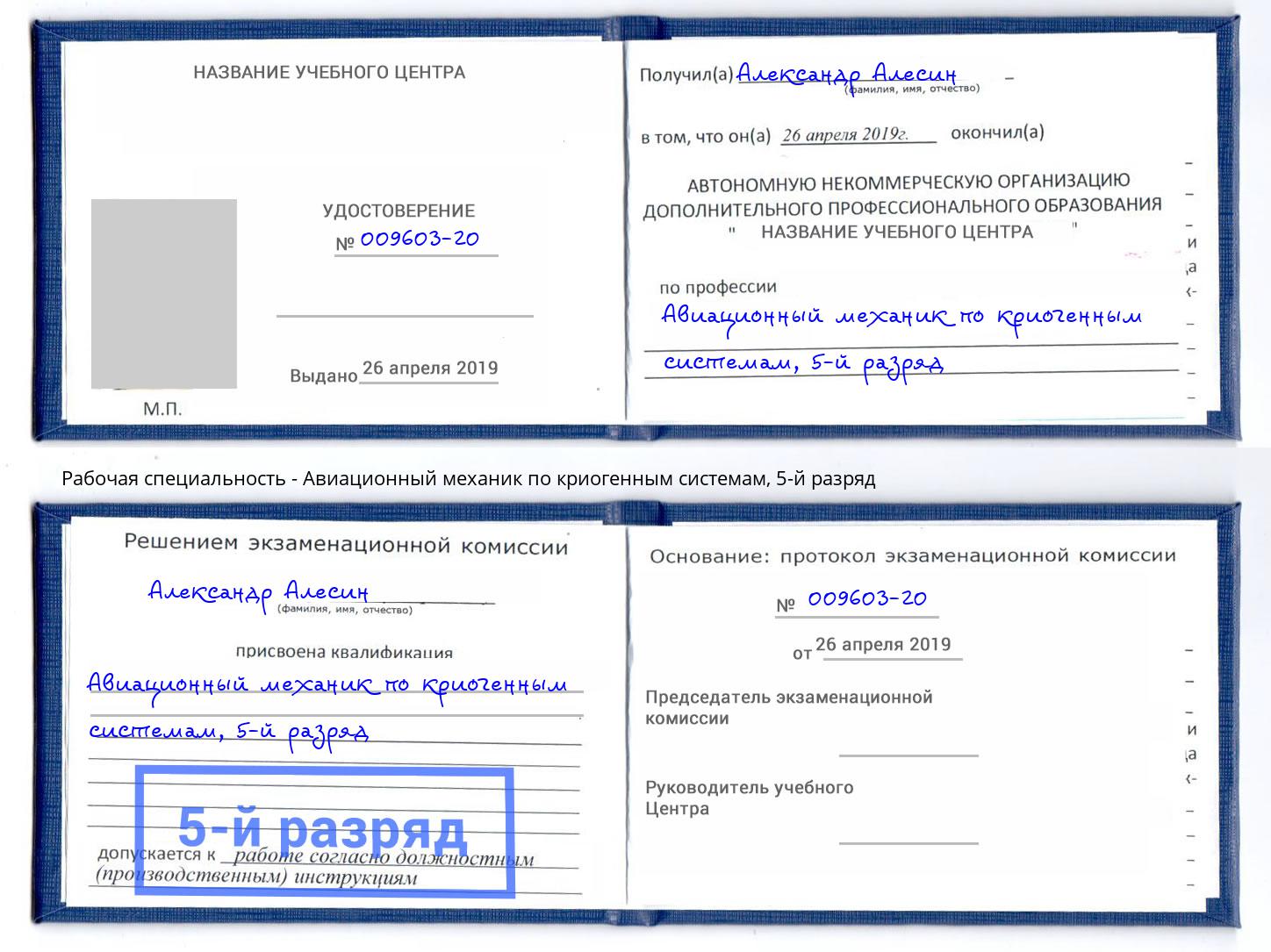 корочка 5-й разряд Авиационный механик по криогенным системам Сухой Лог