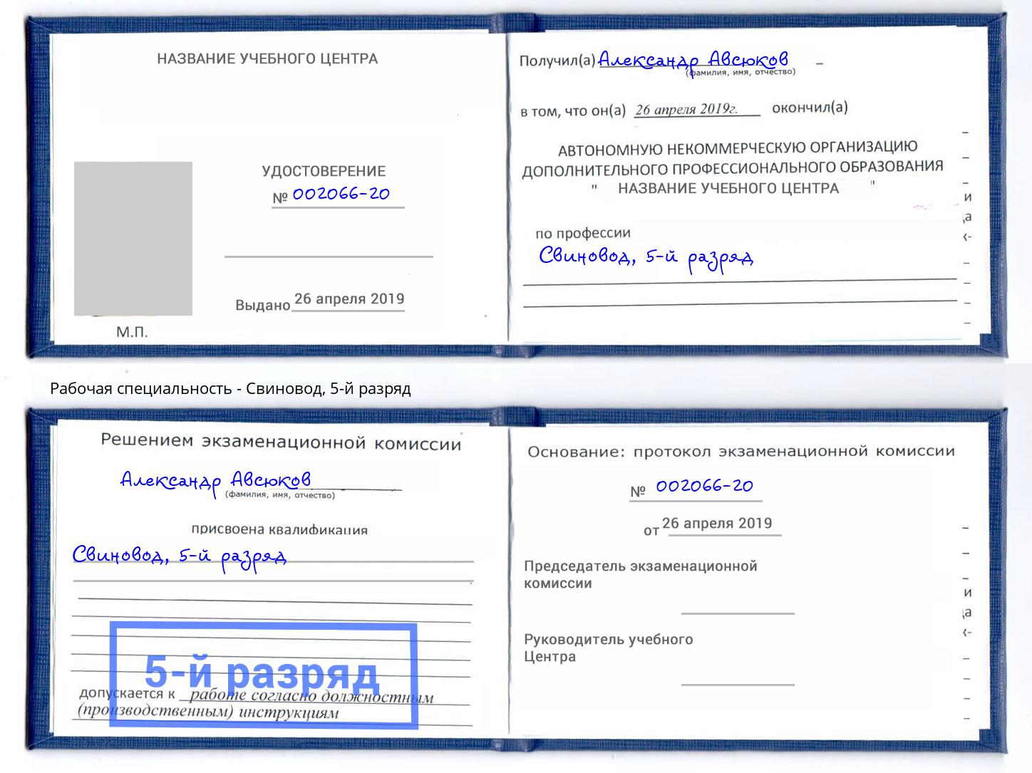 корочка 5-й разряд Свиновод Сухой Лог
