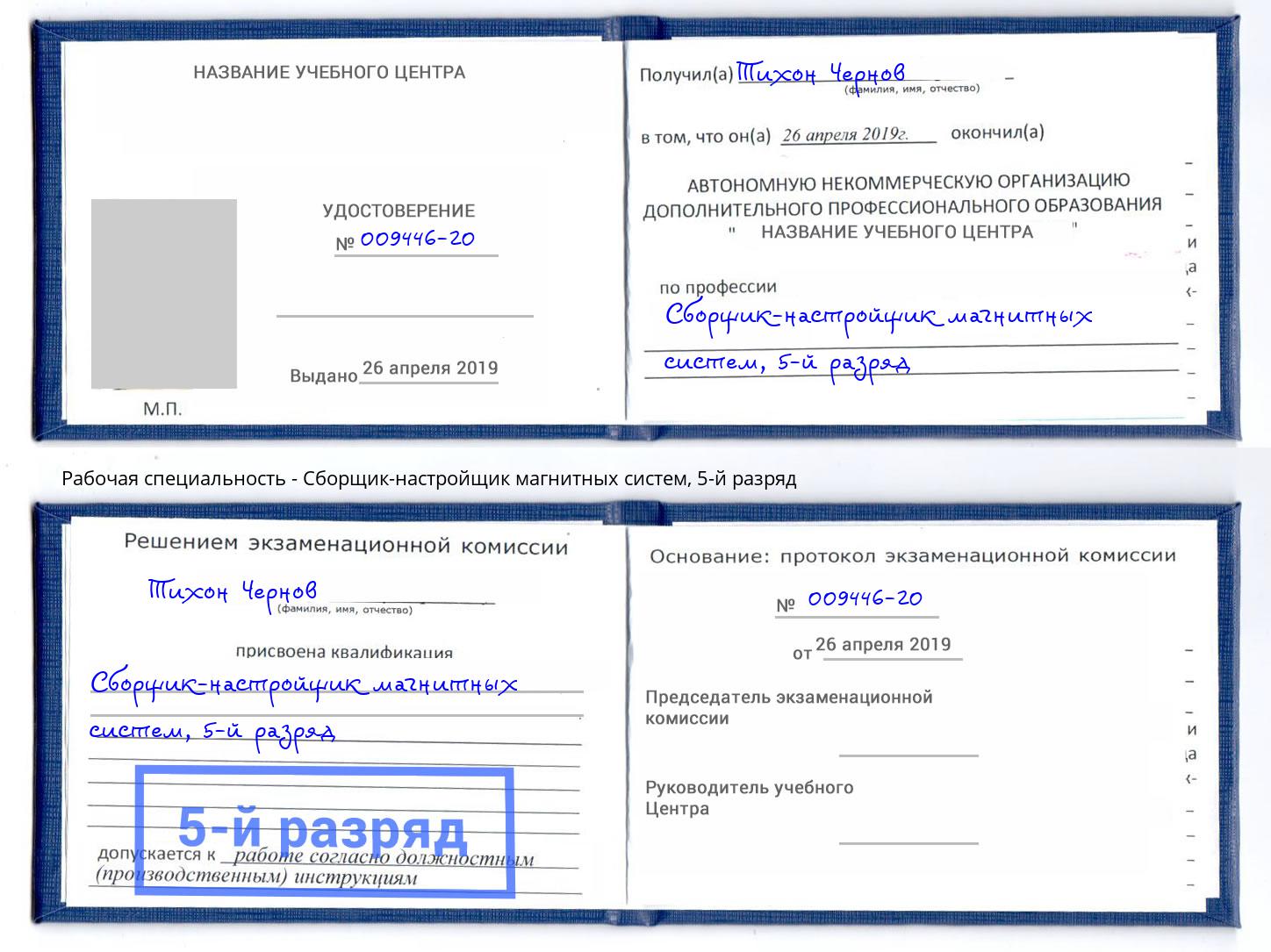 корочка 5-й разряд Сборщик-настройщик магнитных систем Сухой Лог