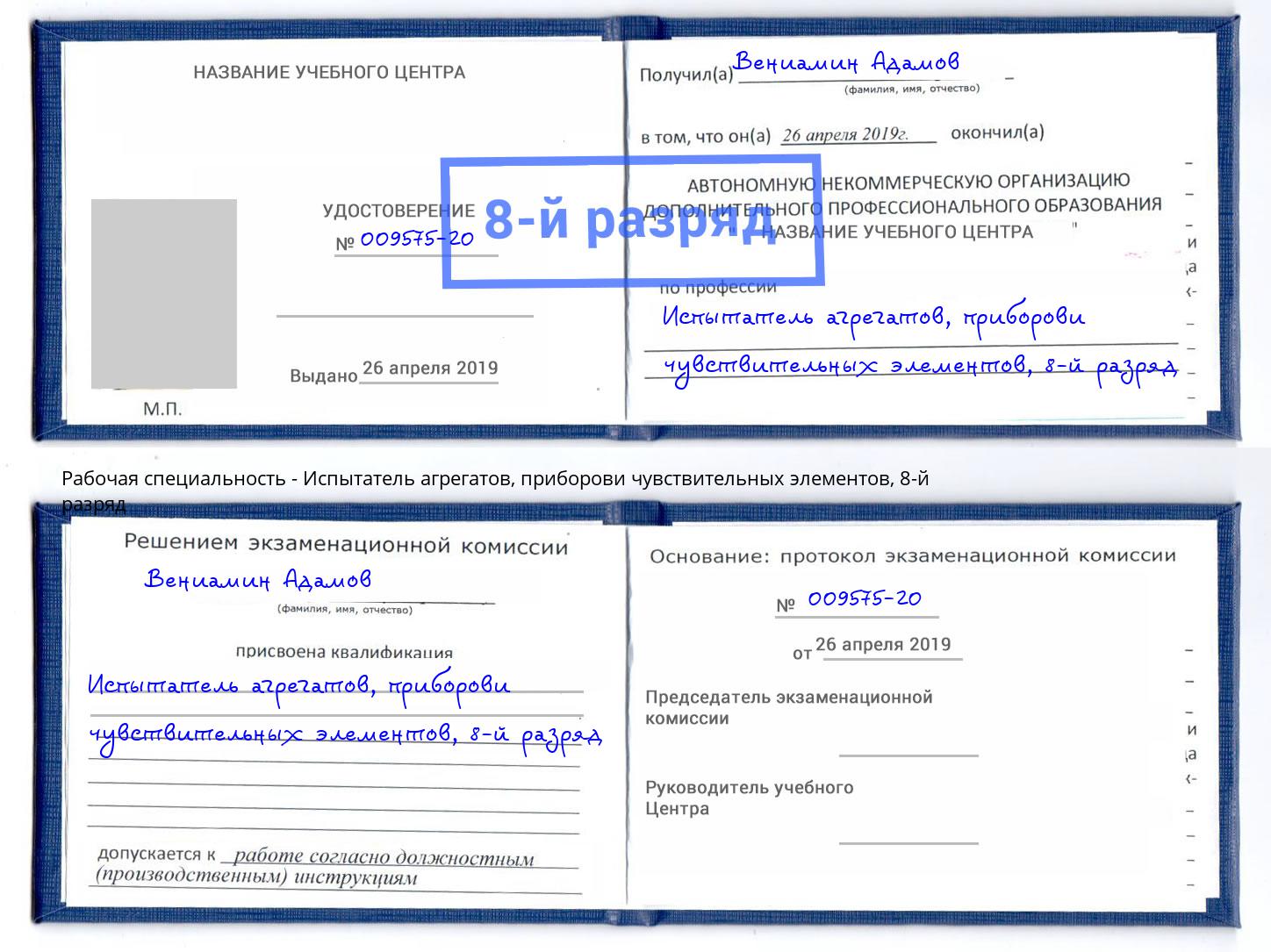 корочка 8-й разряд Испытатель агрегатов, приборови чувствительных элементов Сухой Лог